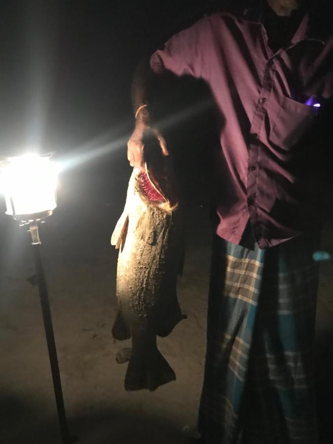 Hotel Reef Pasikudah Nachivantivu Zewnętrze zdjęcie