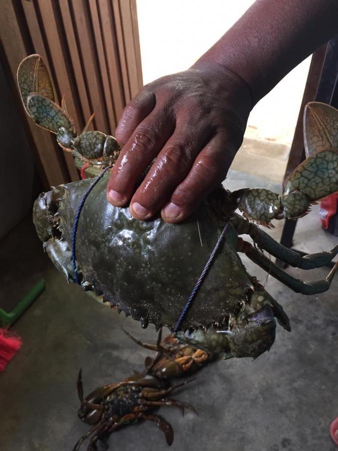 Hotel Reef Pasikudah Nachivantivu Zewnętrze zdjęcie